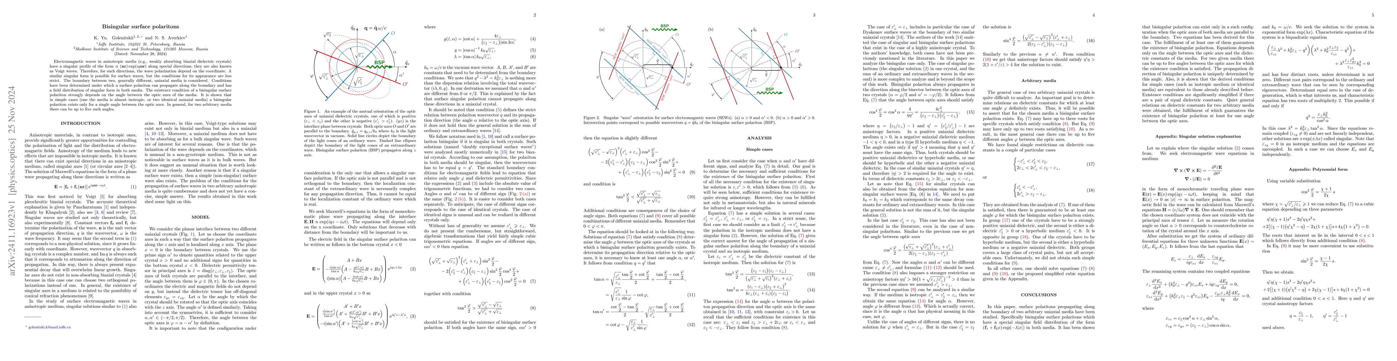 Thumbnail for Bisingular surface polaritons