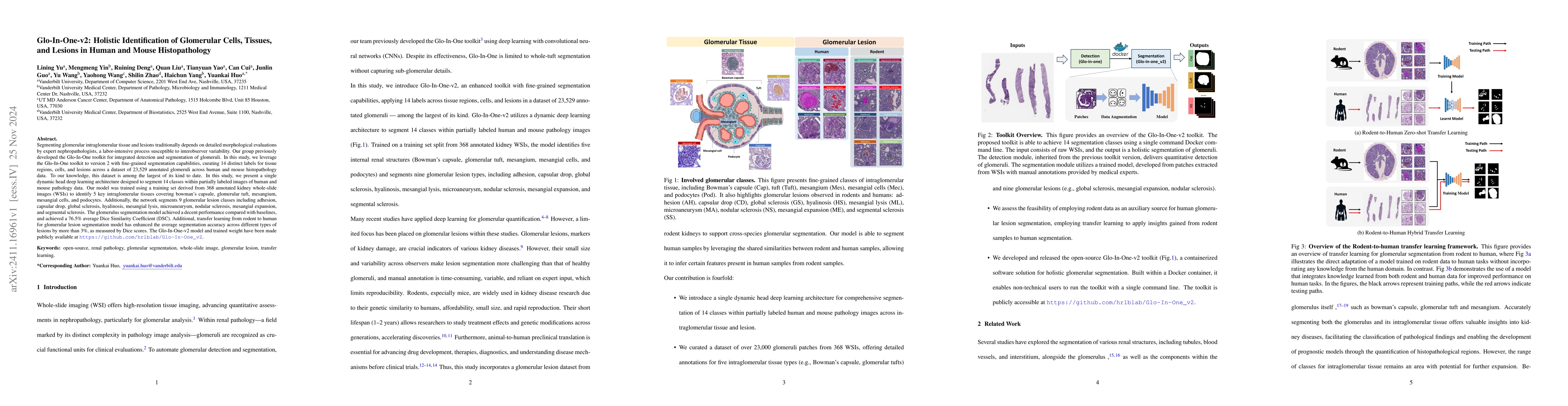 Thumbnail for Glo-In-One-v2: Holistic Identification of Glomerular Cells, Tissues, and
  Lesions in Human and Mouse Histopathology