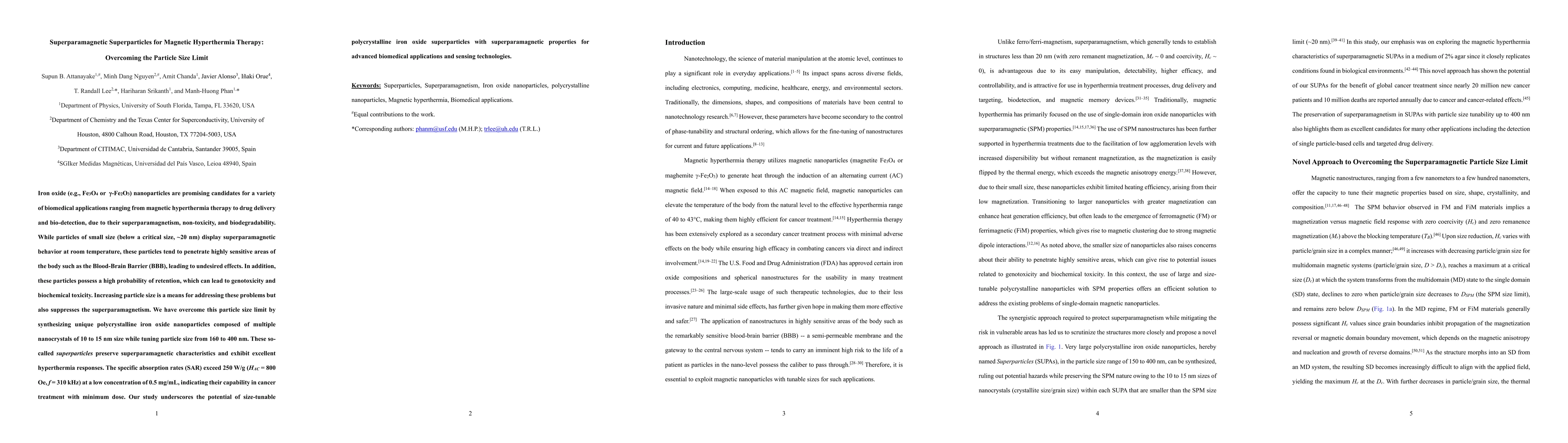 Thumbnail for Superparamagnetic Superparticles for Magnetic Hyperthermia Therapy:
  Overcoming the Particle Size Limit