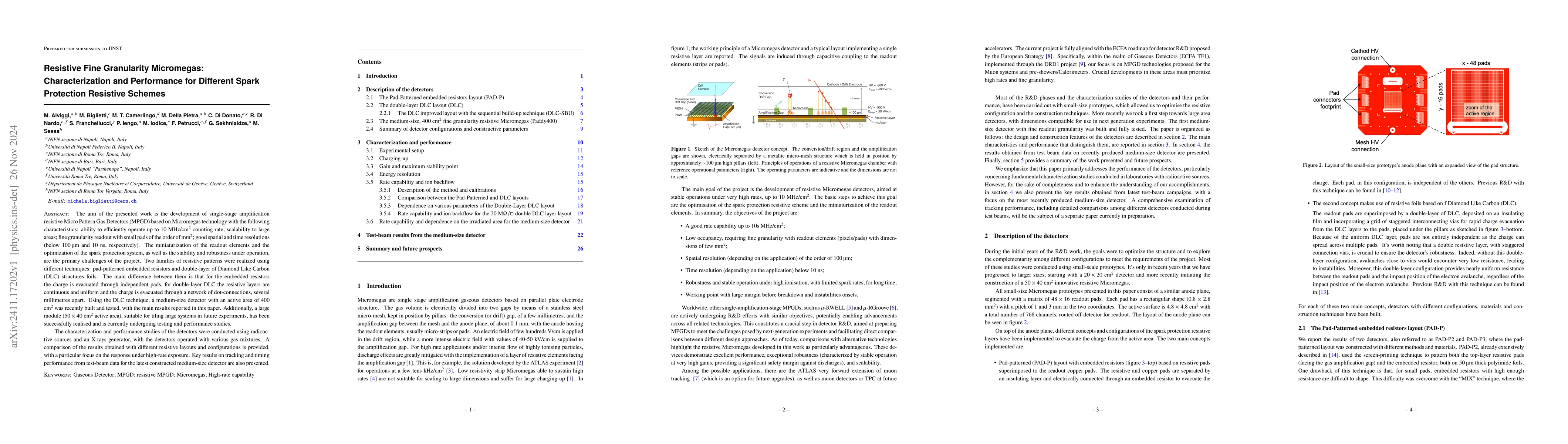 Thumbnail for Resistive Fine Granularity Micromegas: Characterization and Performance
  for Different Spark Protection Resistive Schemes