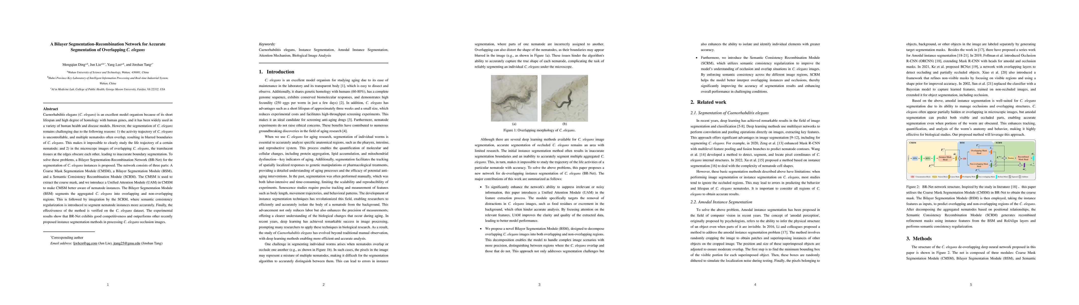 Thumbnail for A Bilayer Segmentation-Recombination Network for Accurate Segmentation
  of Overlapping C. elegans