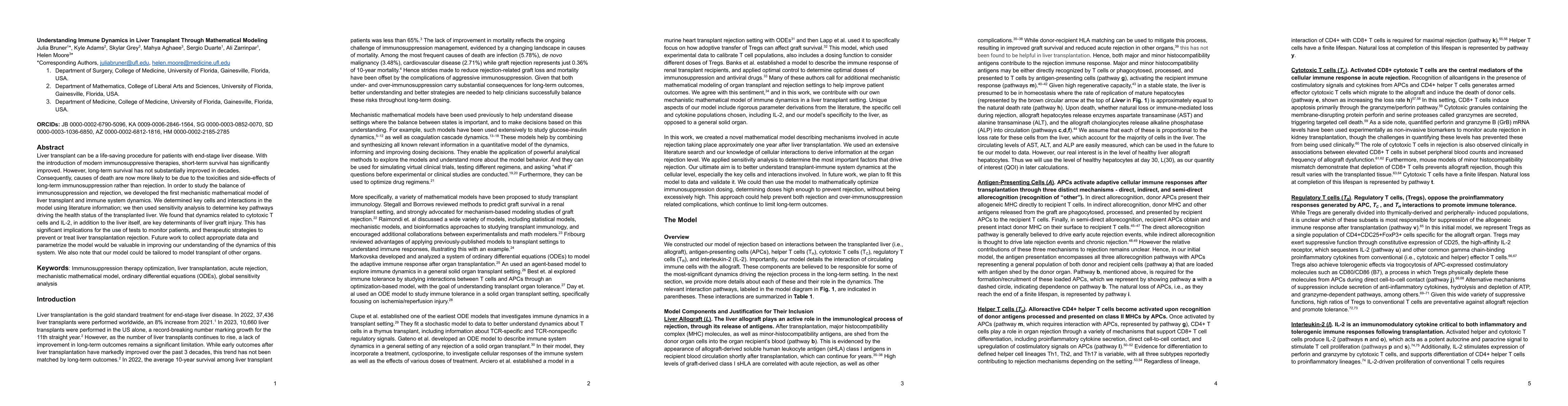 Thumbnail for Understanding Immune Dynamics in Liver Transplant Through Mathematical
  Modeling
