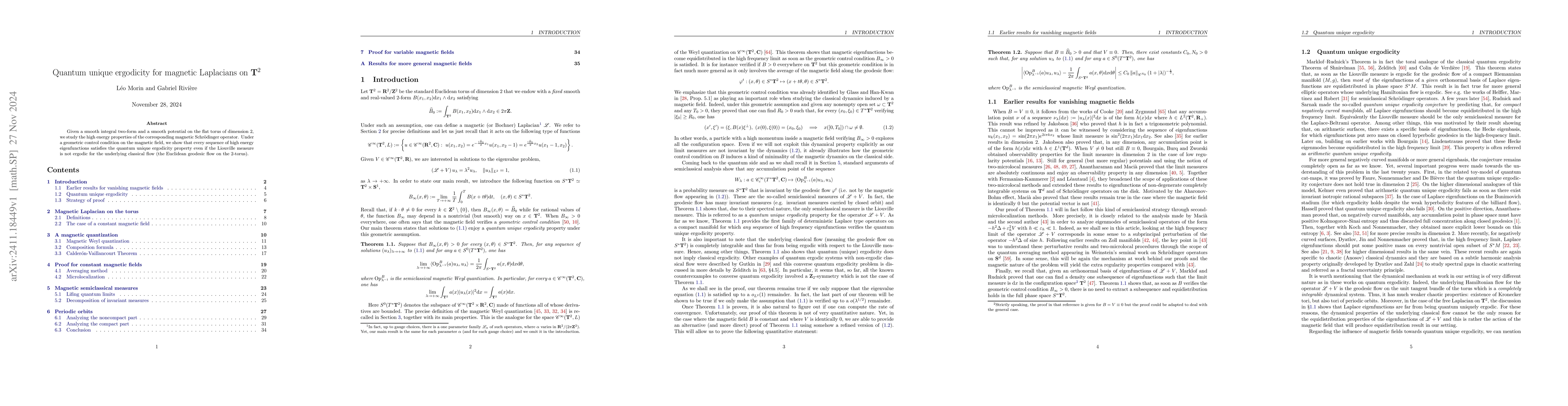 Thumbnail for Quantum unique ergodicity for magnetic Laplacians on T^2