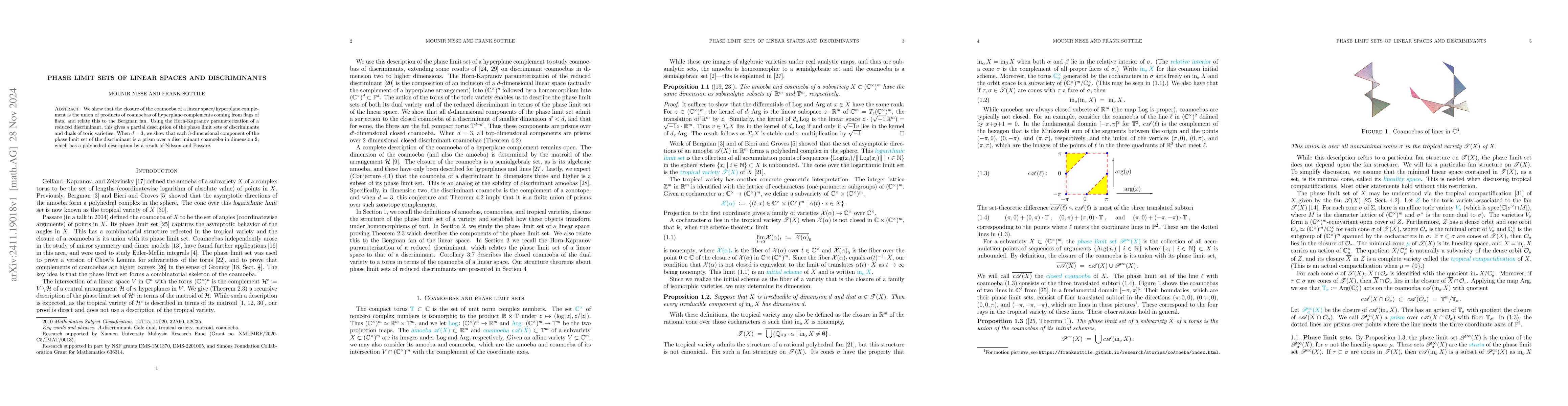 Thumbnail for Phase limit sets of linear spaces and discriminants