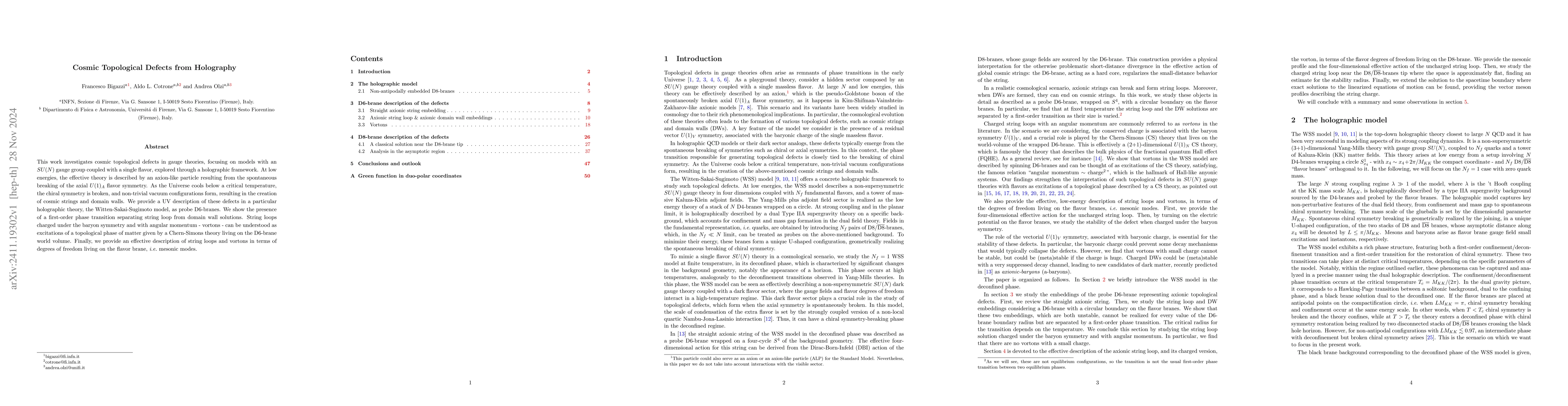 Thumbnail for Cosmic Topological Defects from Holography