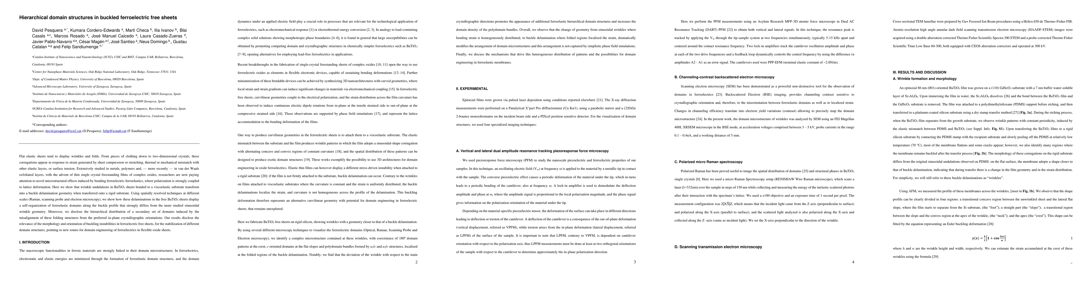 Thumbnail for Hierarchical domain structures in buckled ferroelectric free sheets