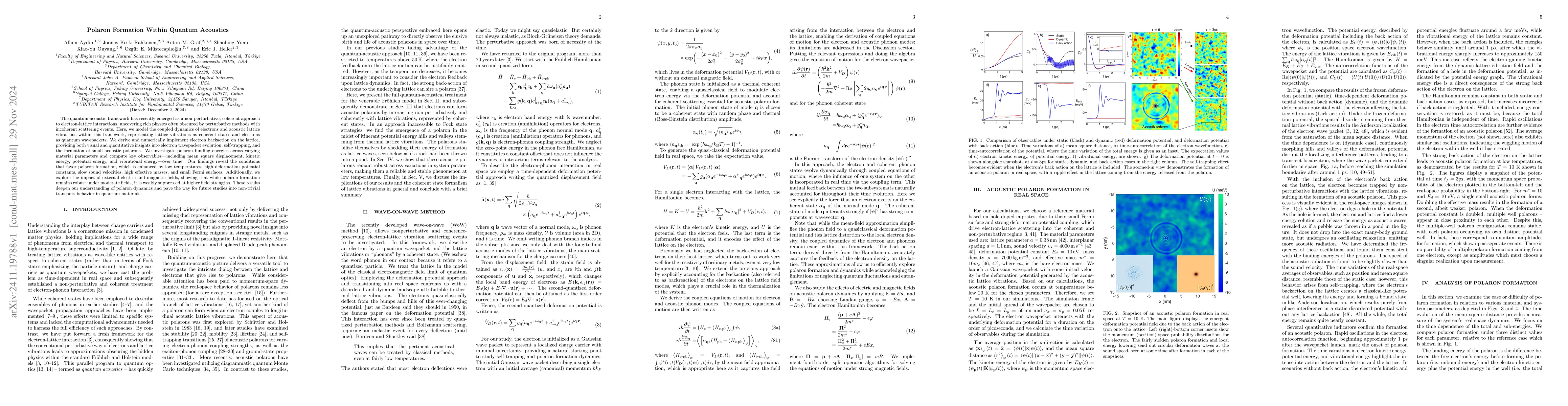 Thumbnail for Polaron formation within quantum acoustics