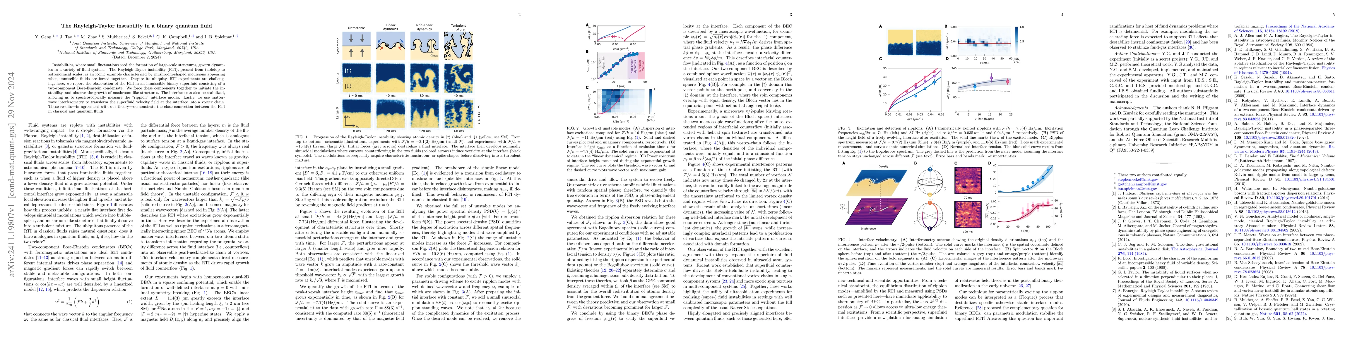 Thumbnail for The Rayleigh-Taylor instability in a binary quantum fluid