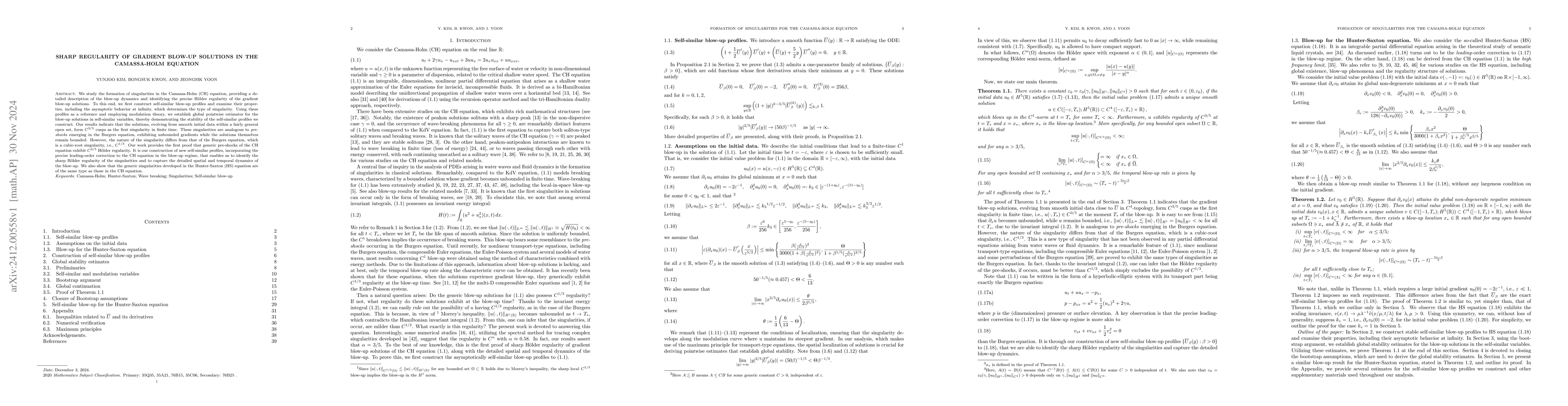 Thumbnail for Sharp regularity of gradient blow-up solutions in the Camassa-Holm
  equation