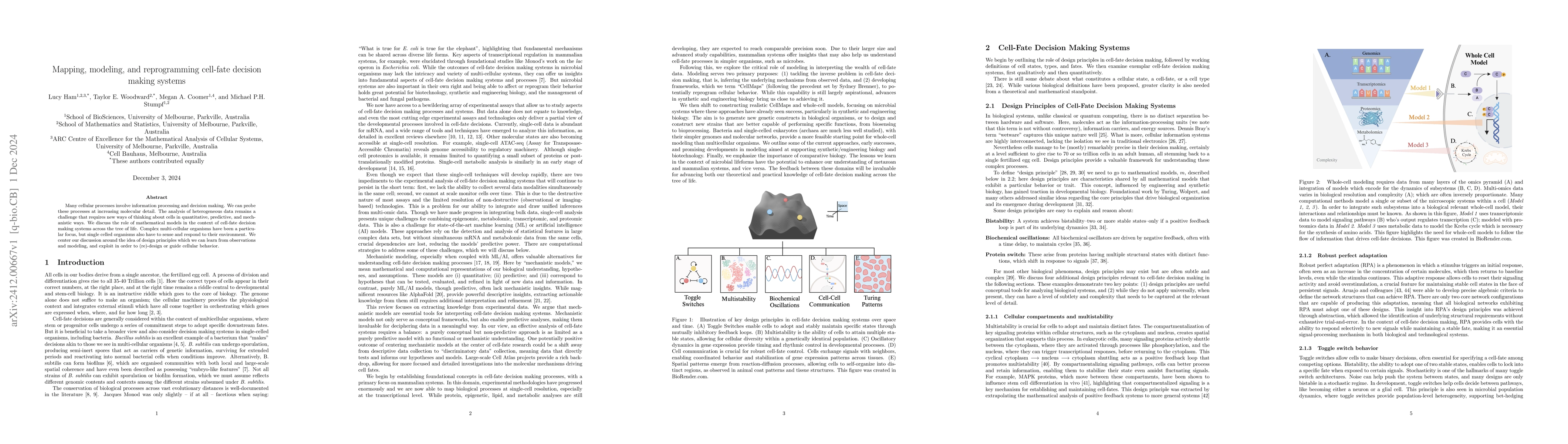Thumbnail for Mapping, modeling, and reprogramming cell-fate decision making systems