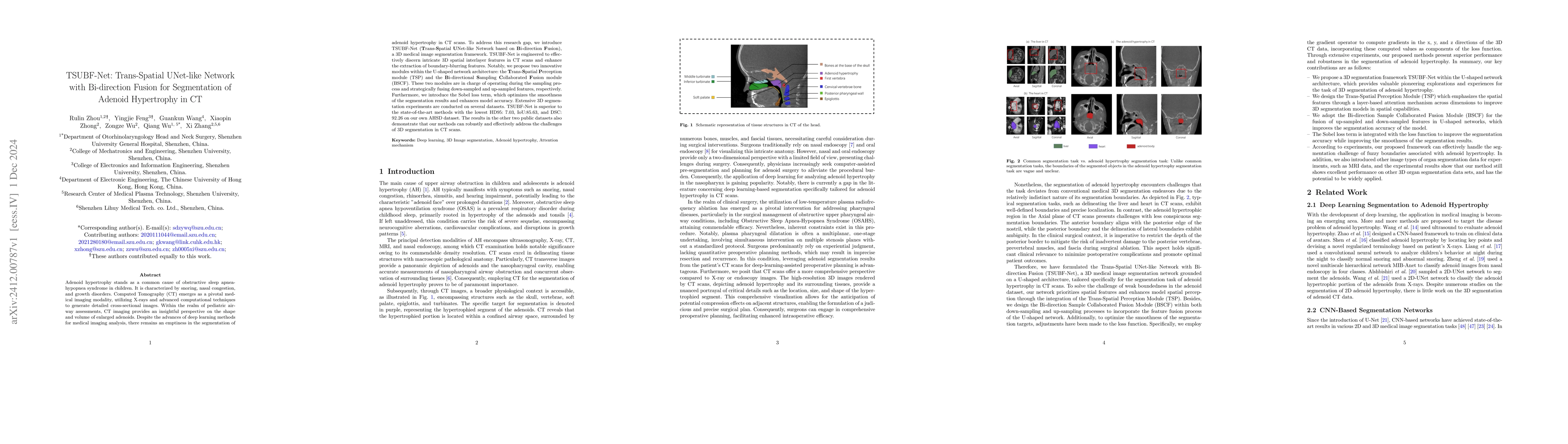 Thumbnail for TSUBF-Net: Trans-Spatial UNet-like Network with Bi-direction Fusion for
  Segmentation of Adenoid Hypertrophy in CT