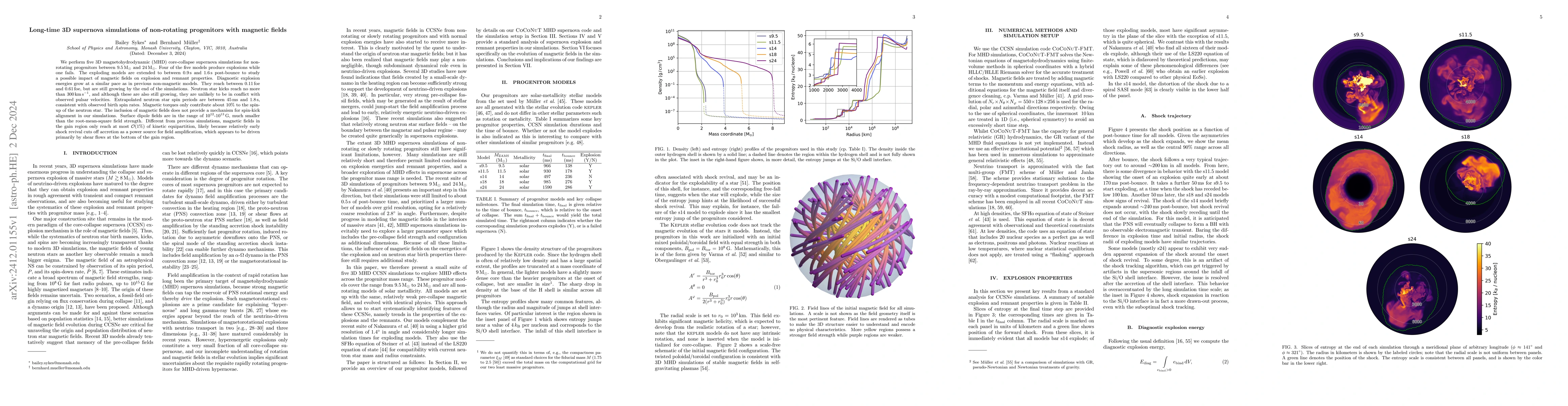 Thumbnail for Long-time 3D supernova simulations of non-rotating progenitors with
  magnetic fields