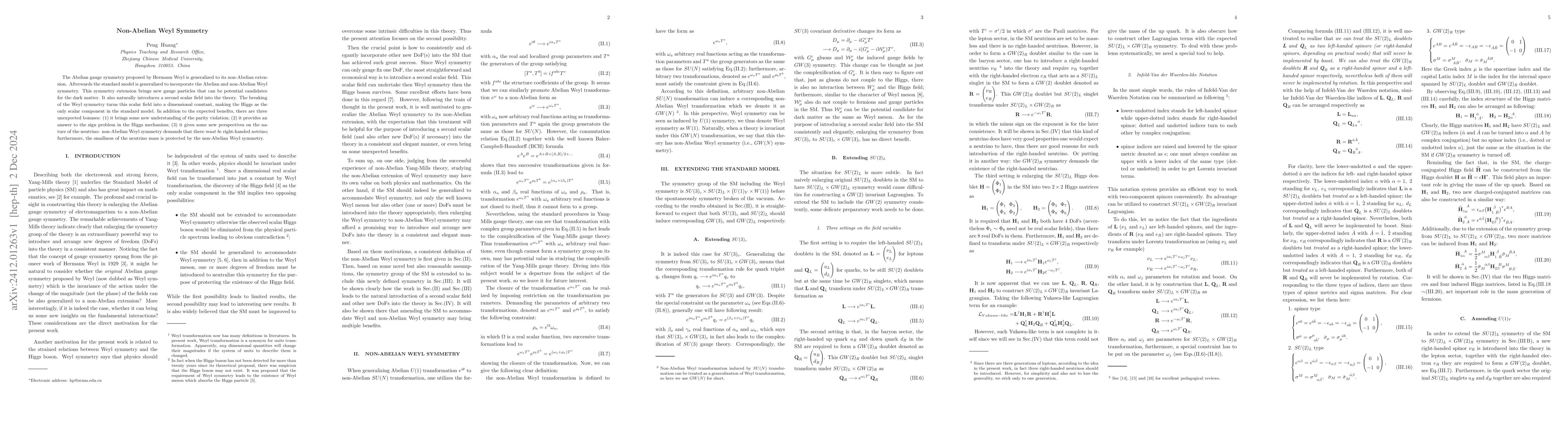Thumbnail for Non-Abelian Weyl Symmetry