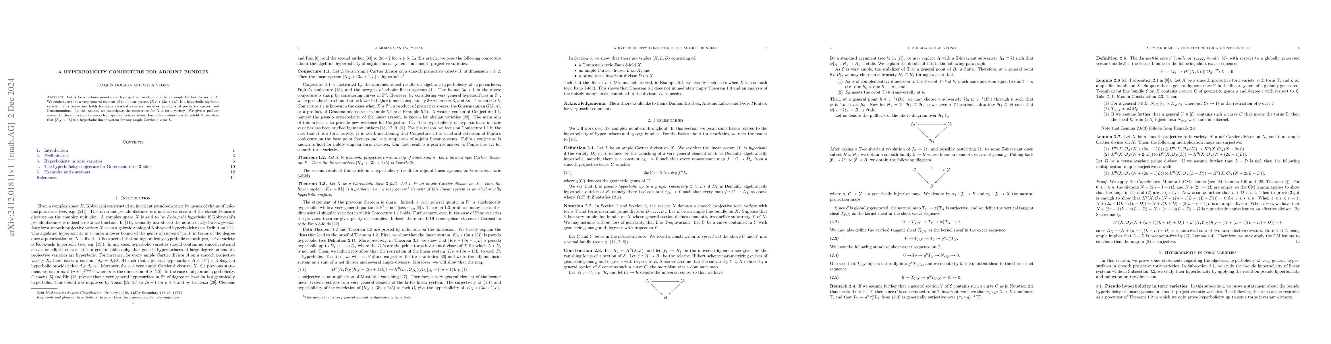 Thumbnail for A hyperbolicity conjecture for adjoint bundles