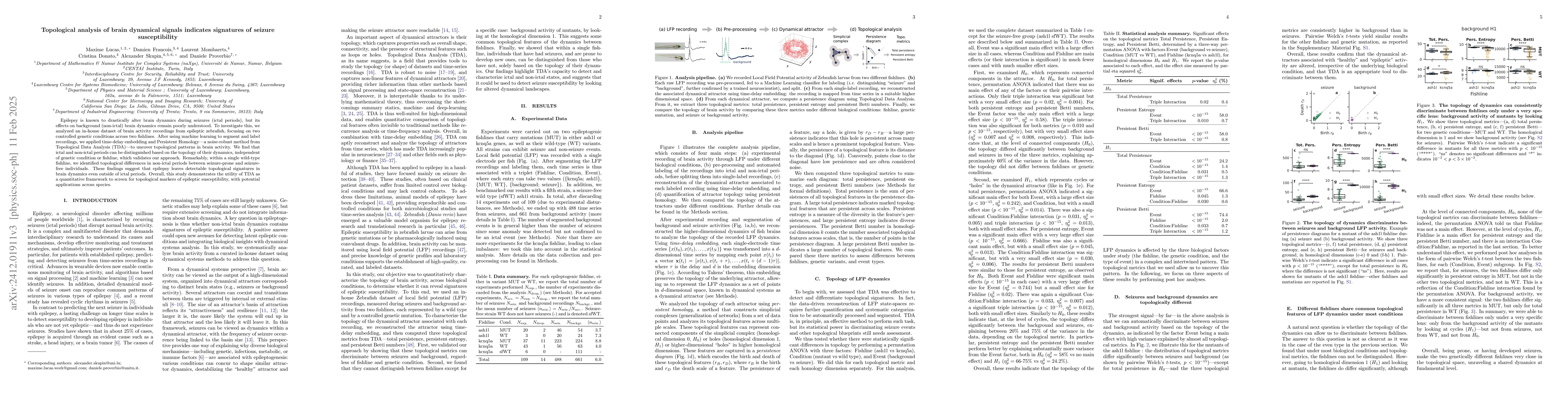 Thumbnail for Topological analysis of brain dynamical signals reveals signatures of
  seizure susceptibility