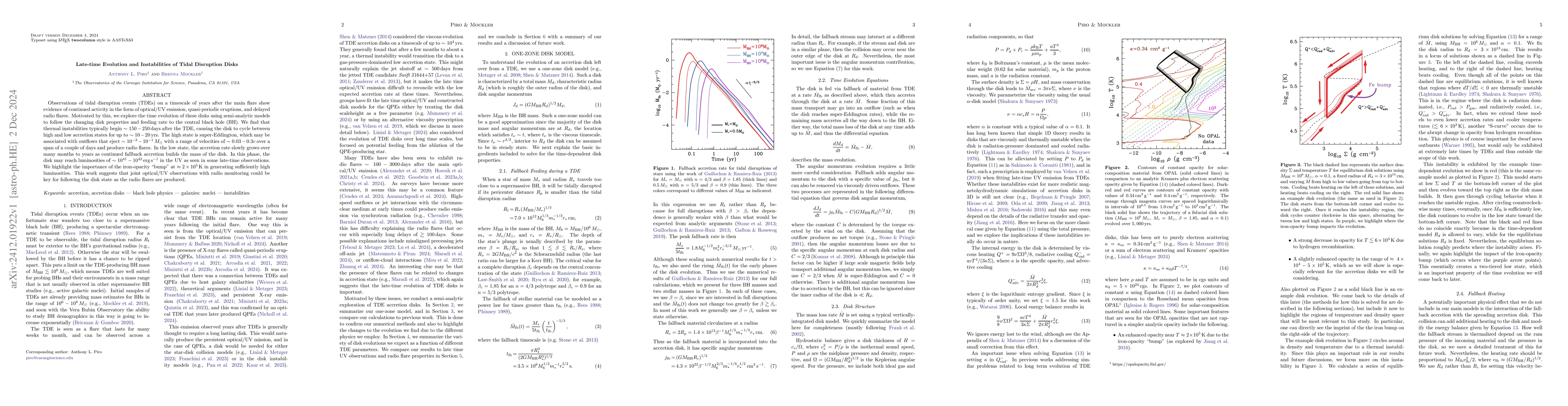 Thumbnail for Late-time Evolution and Instabilities of Tidal Disruption Disks