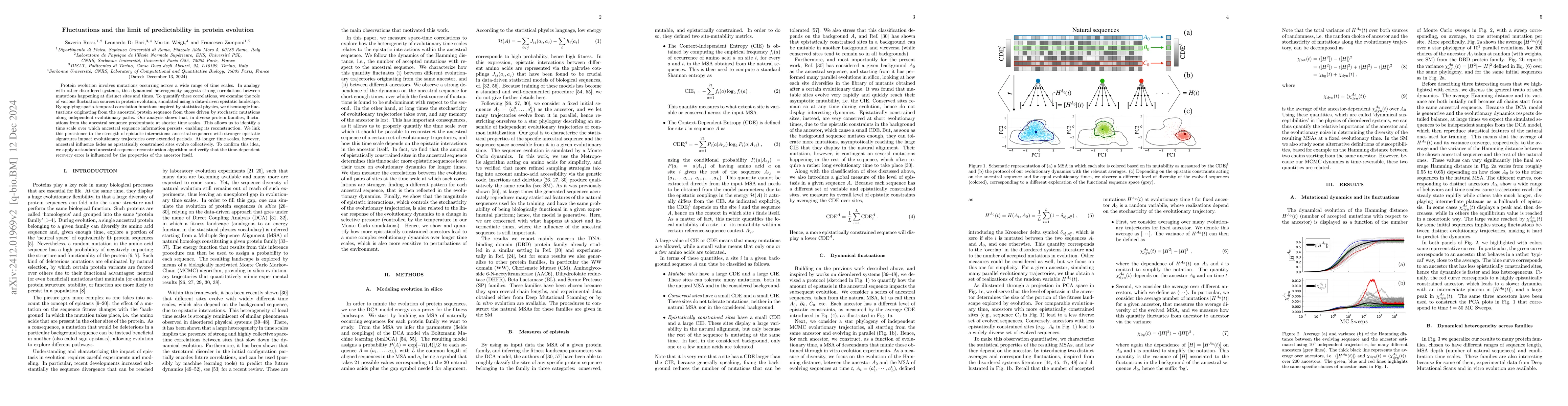 Thumbnail for Fluctuations and the limit of predictability in protein evolution