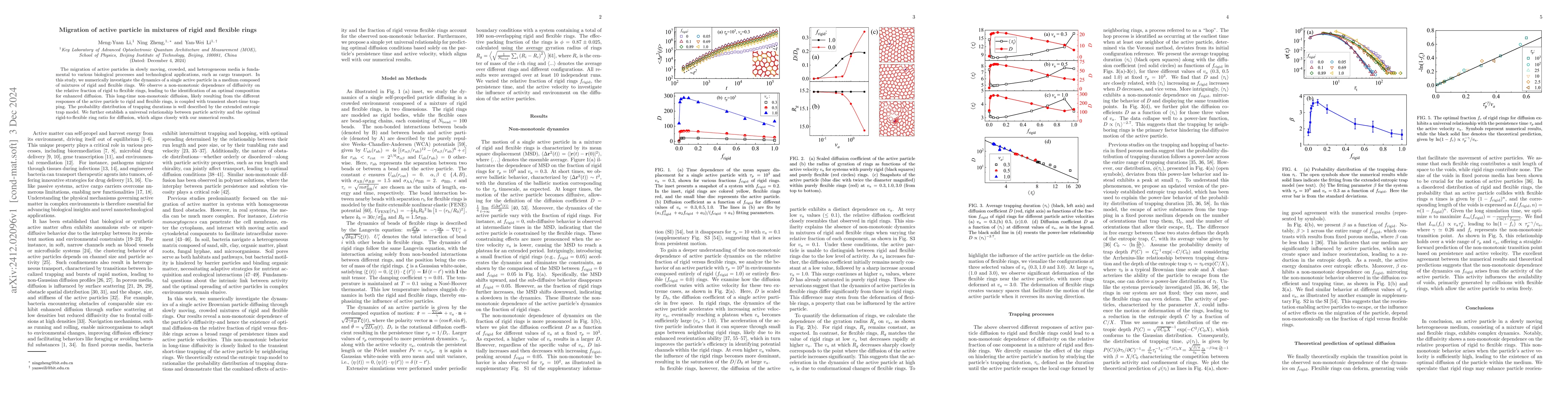Thumbnail for Migration of active particle in mixtures of rigid and flexible rings