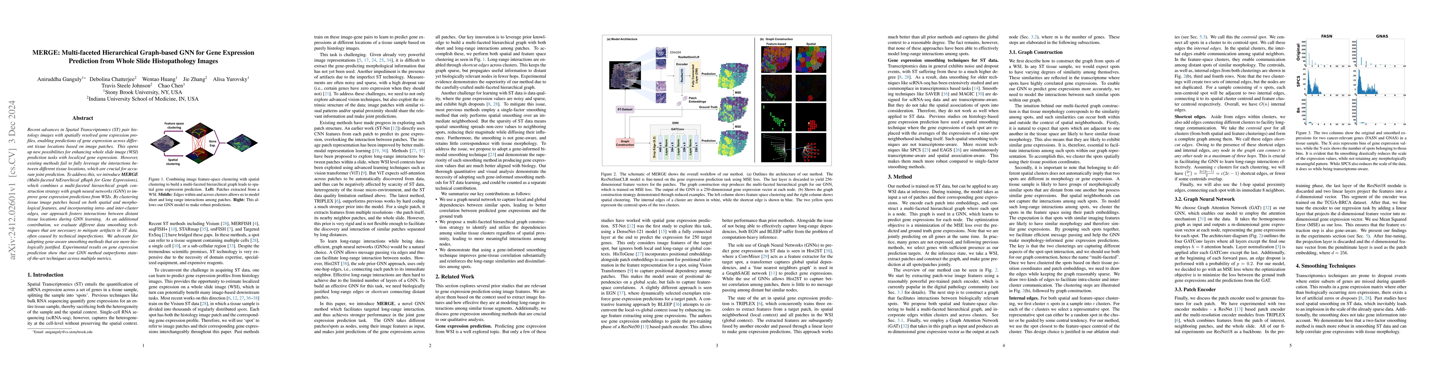 Thumbnail for MERGE: Multi-faceted Hierarchical Graph-based GNN for Gene Expression
  Prediction from Whole Slide Histopathology Images