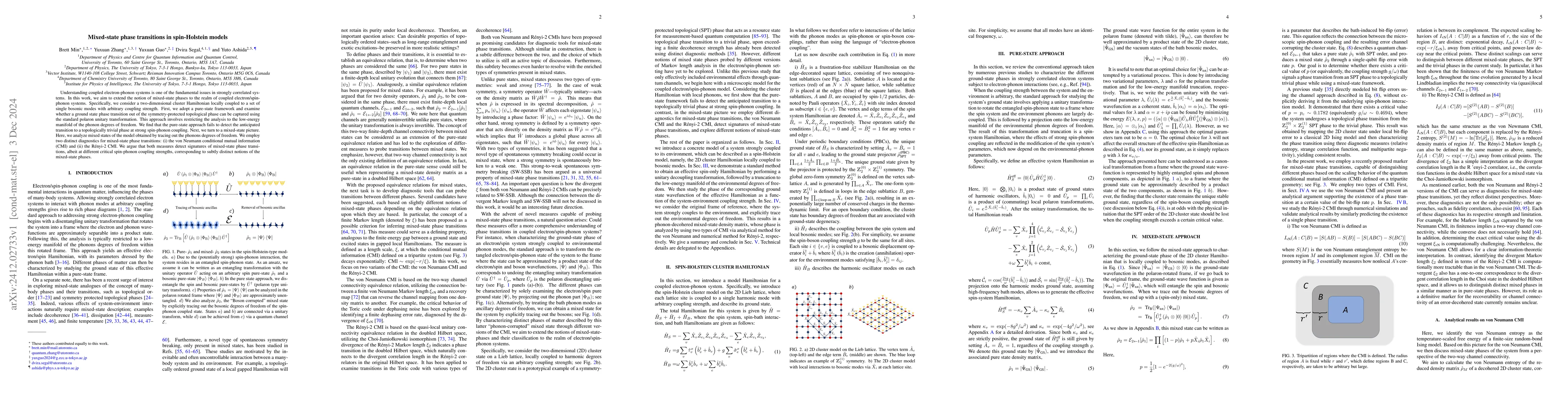 Thumbnail for Mixed-state phase transitions in spin-Holstein models