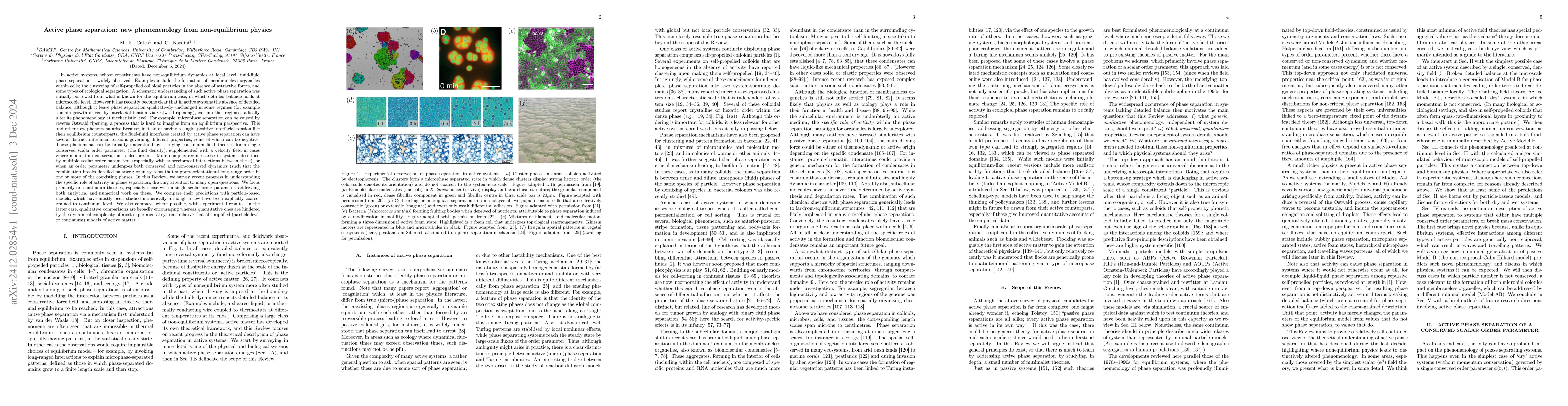 Thumbnail for Active phase separation: new phenomenology from non-equilibrium physics