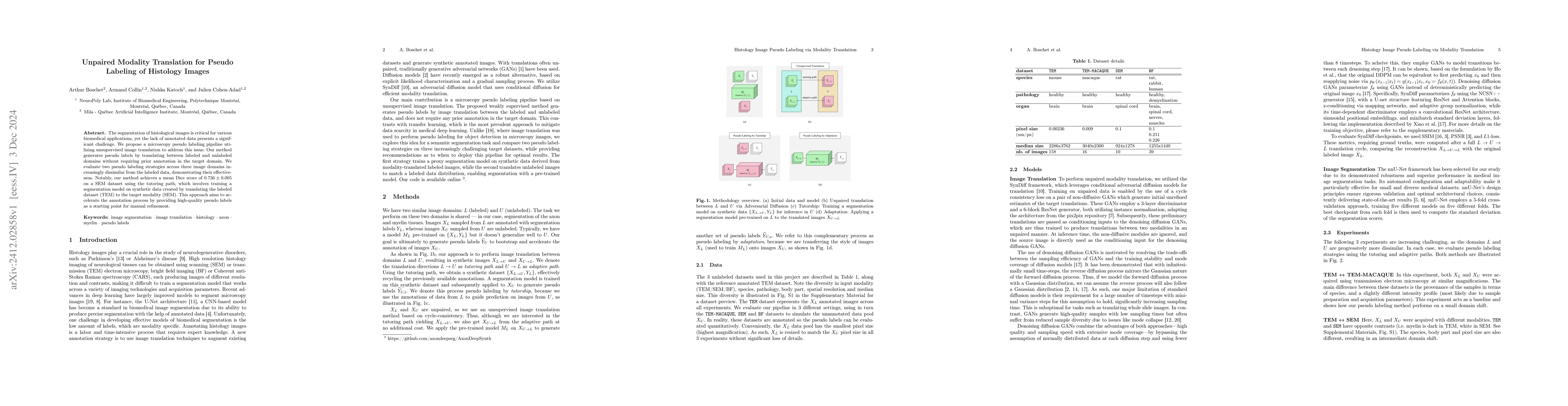 Thumbnail for Unpaired Modality Translation for Pseudo Labeling of Histology Images
