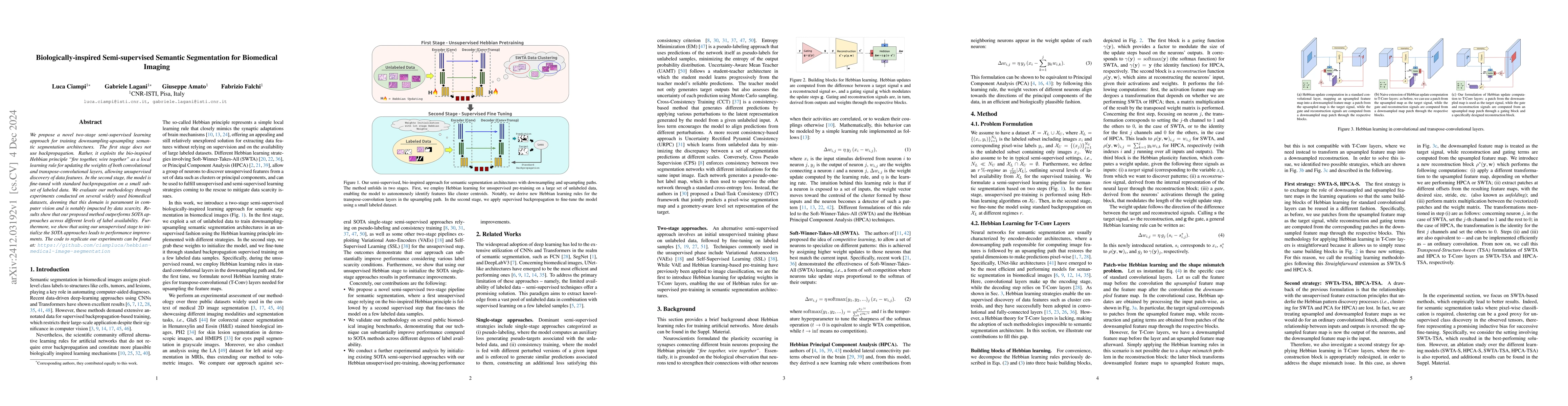 Thumbnail for Biologically-inspired Semi-supervised Semantic Segmentation for
  Biomedical Imaging