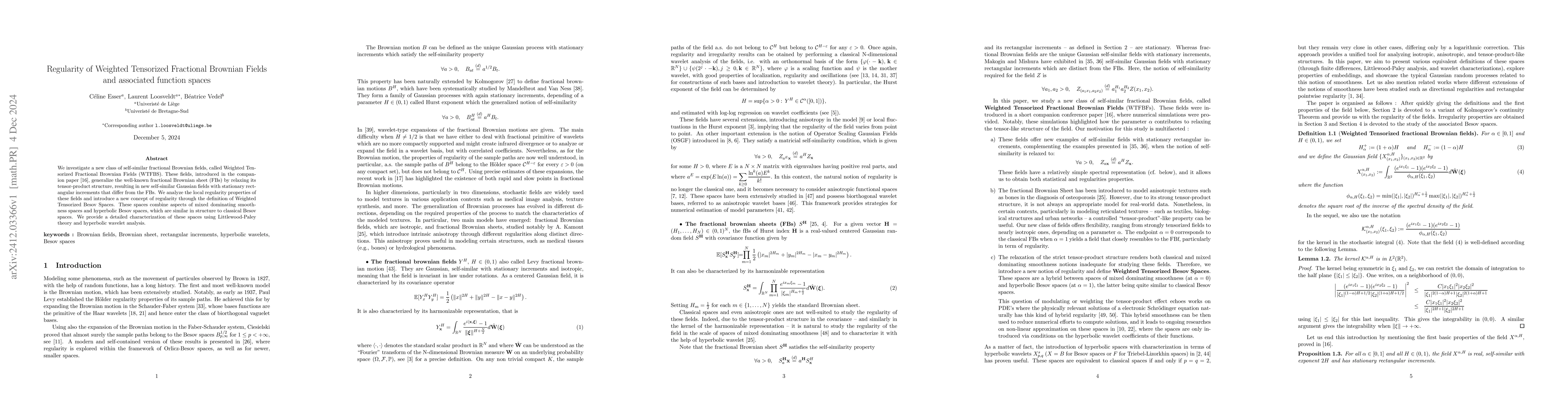 Thumbnail for Regularity of Weighted Tensorized Fractional Brownian Fields and
  associated function spaces