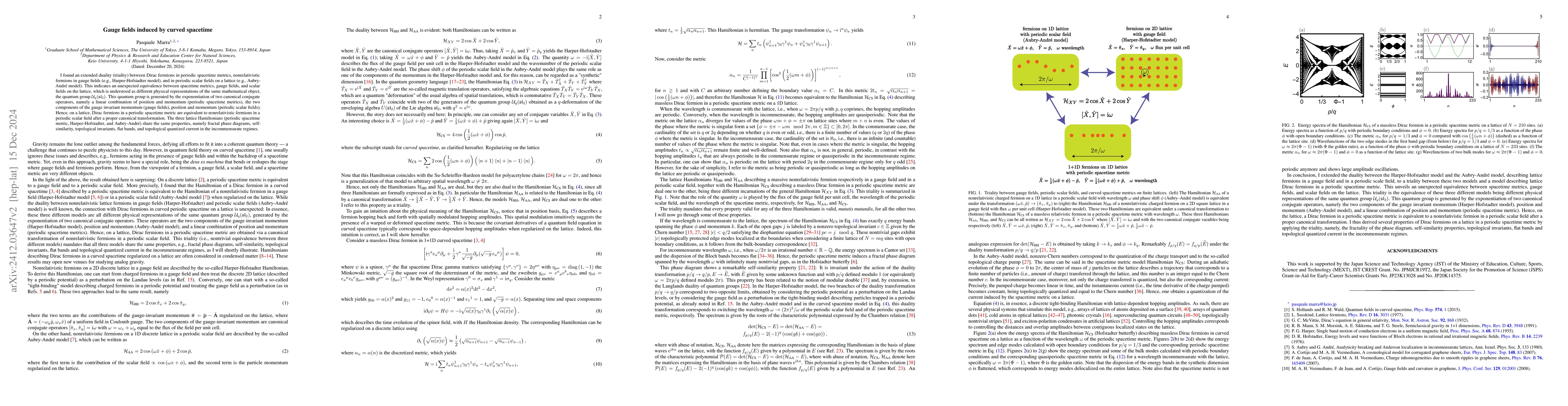Thumbnail for Gauge fields induced by curved spacetime on a lattice