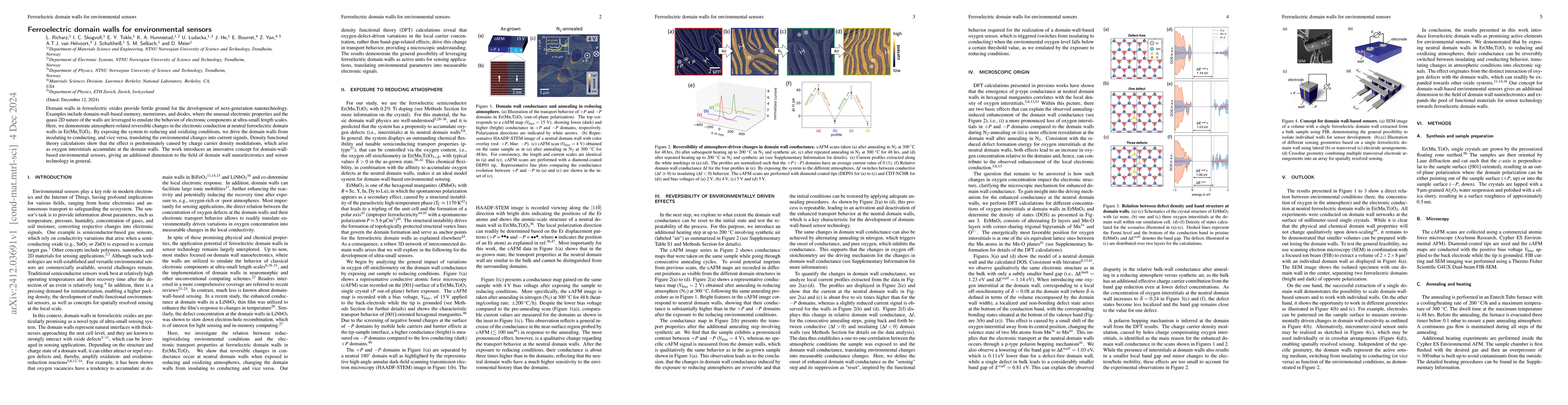 Thumbnail for Ferroelectric domain walls for environmental sensors
