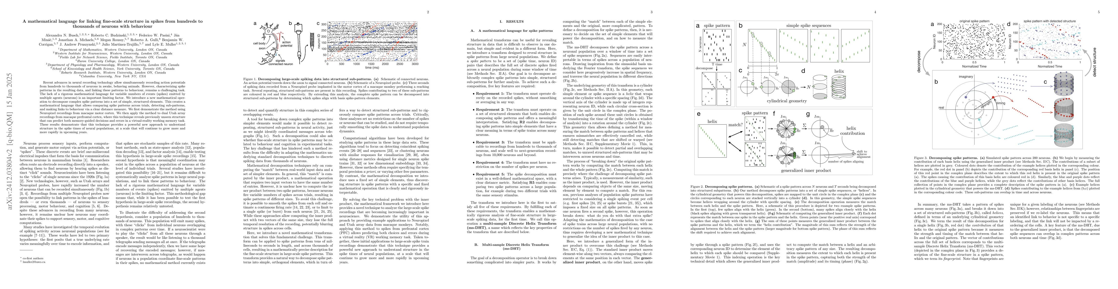 Thumbnail for A mathematical language for linking fine-scale structure in spikes from
  hundreds to thousands of neurons with behaviour
