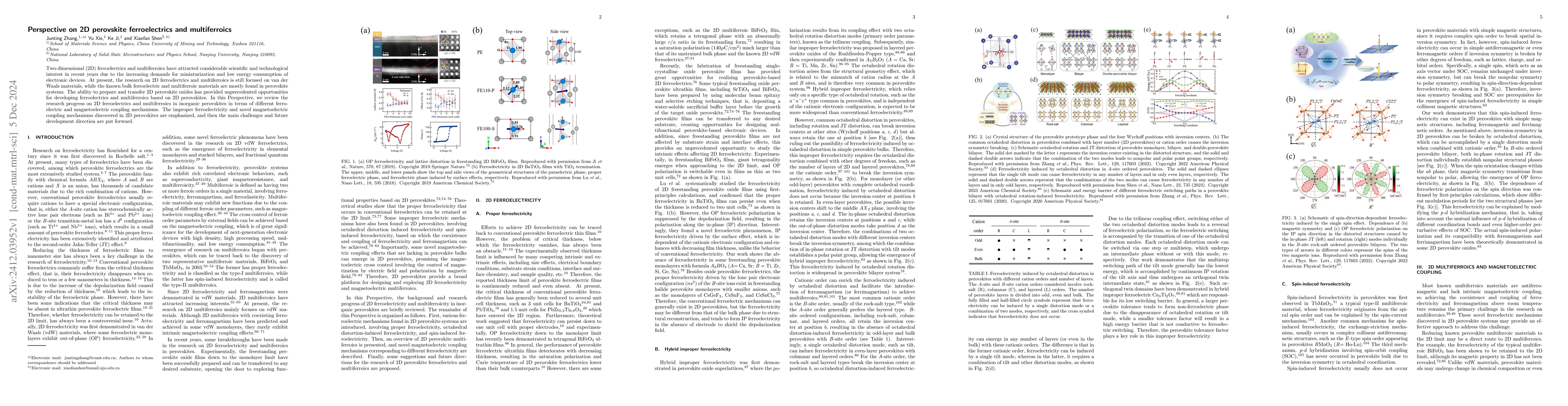 Thumbnail for Perspective on 2D perovskite ferroelectrics and multiferroics