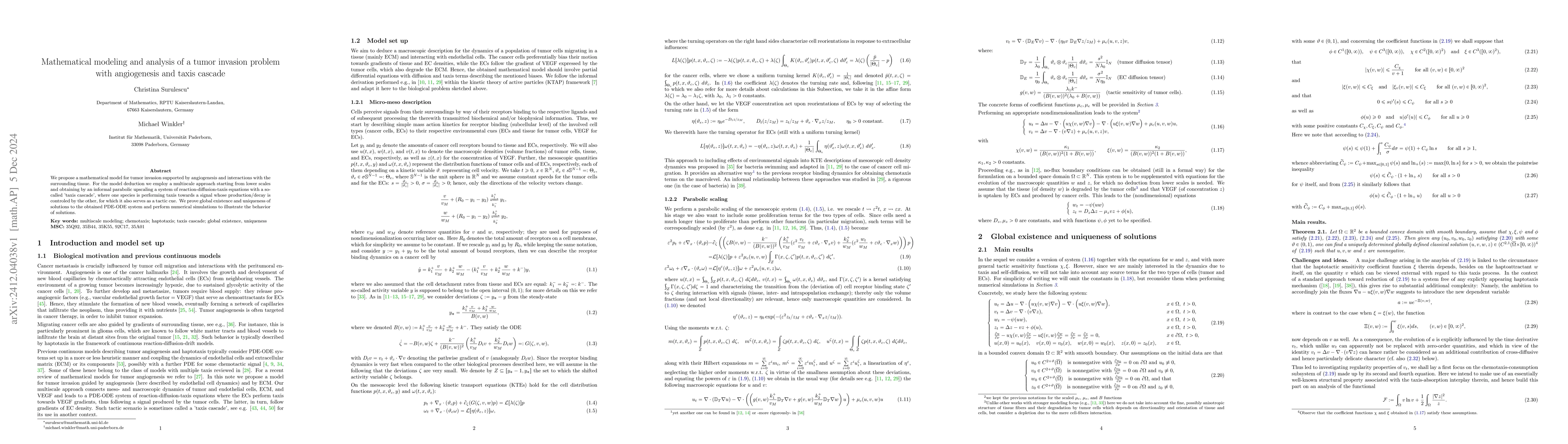 Thumbnail for Mathematical modeling and analysis of a tumor invasion problem with
  angiogenesis and taxis cascade