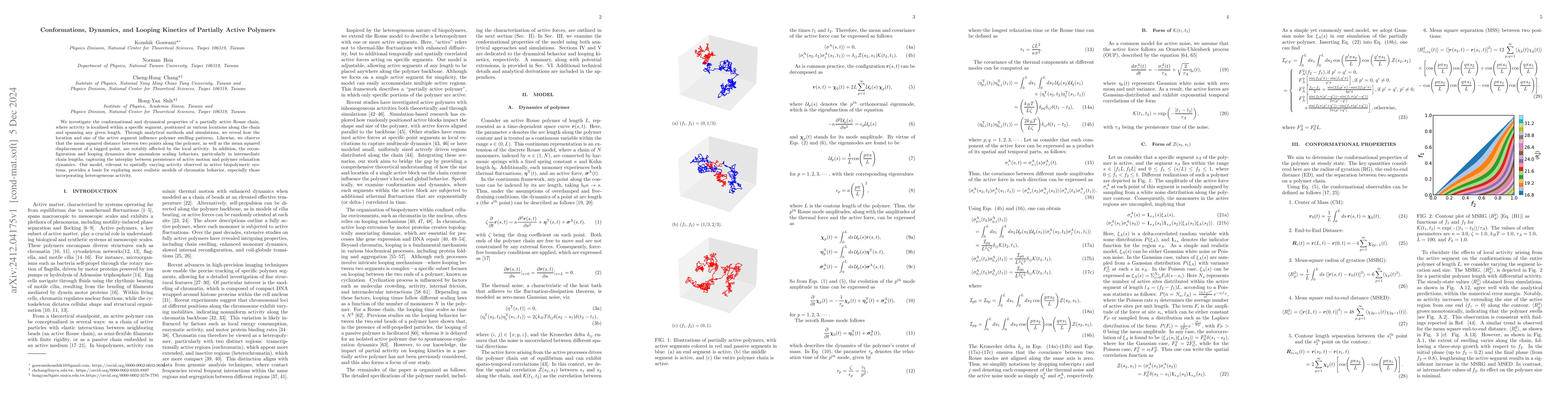 Thumbnail for Conformations, Dynamics, and Looping Kinetics of Partially Active
  Polymers