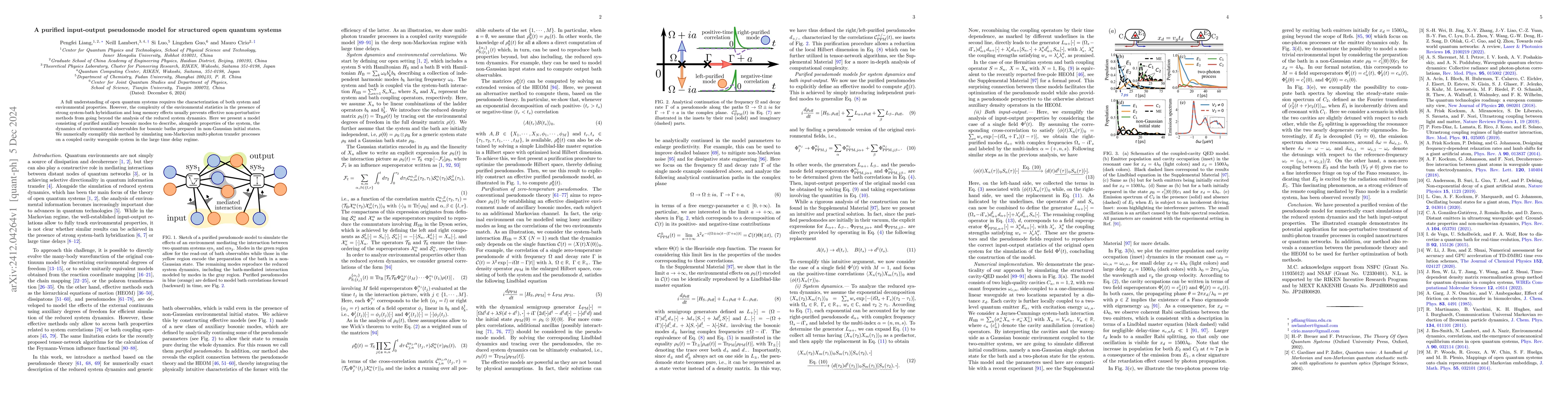 Thumbnail for A purified input-output pseudomode model for structured open quantum
  systems