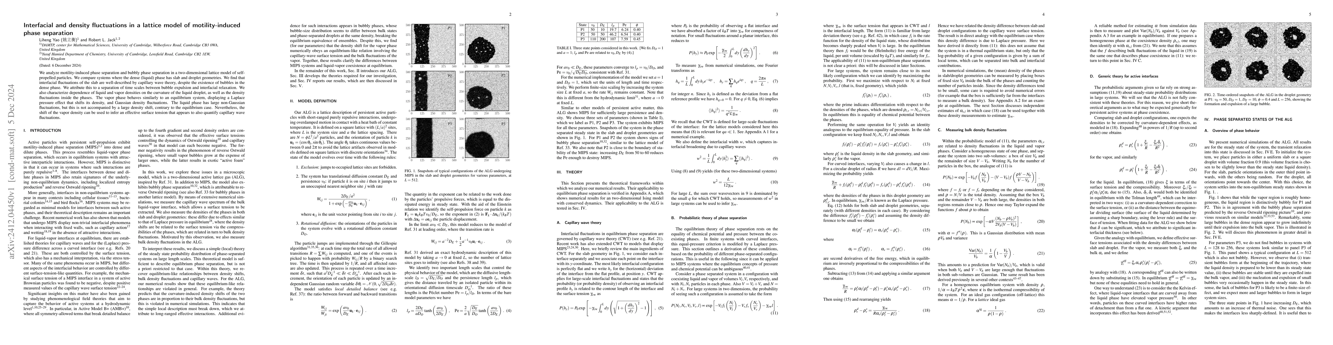 Thumbnail for Interfacial and density fluctuations in a lattice model of
  motility-induced phase separation