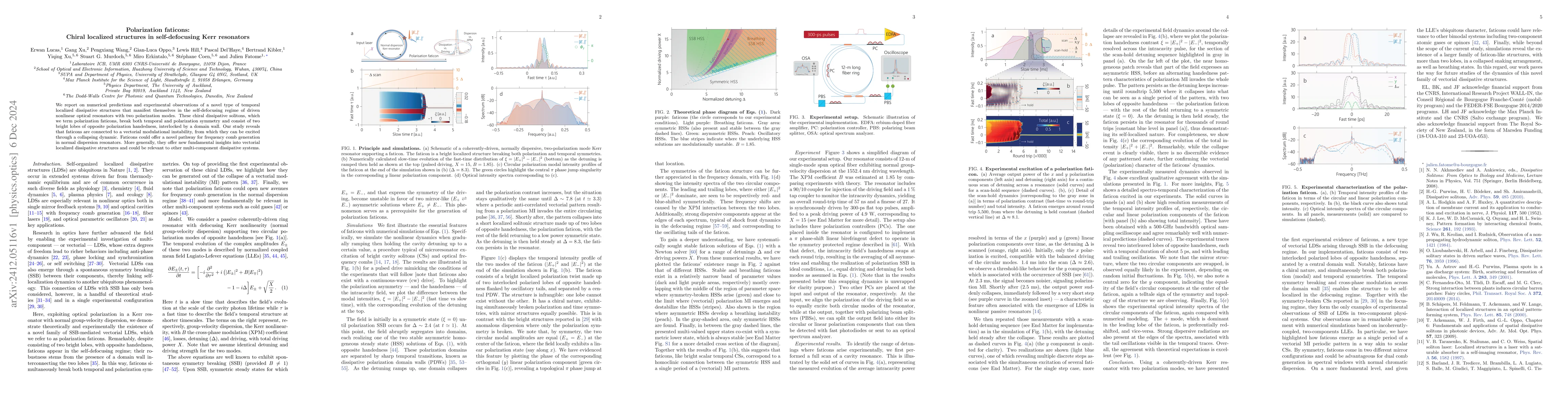 Thumbnail for Polarization faticons: Chiral localized structures in self-defocusing
  Kerr resonators