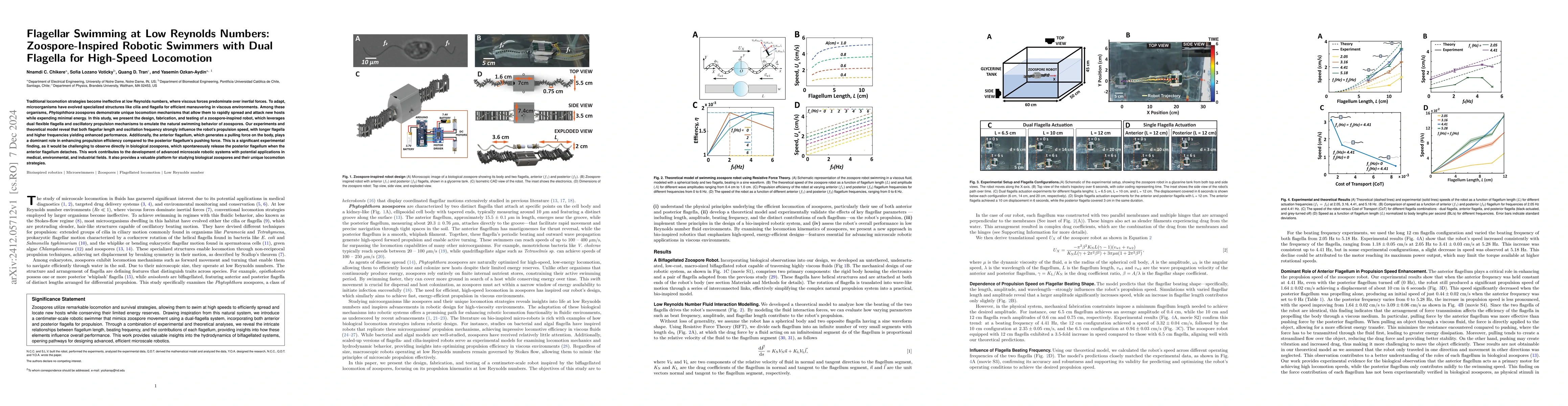 Thumbnail for Flagellar Swimming at Low Reynolds Numbers: Zoospore-Inspired Robotic
  Swimmers with Dual Flagella for High-Speed Locomotion