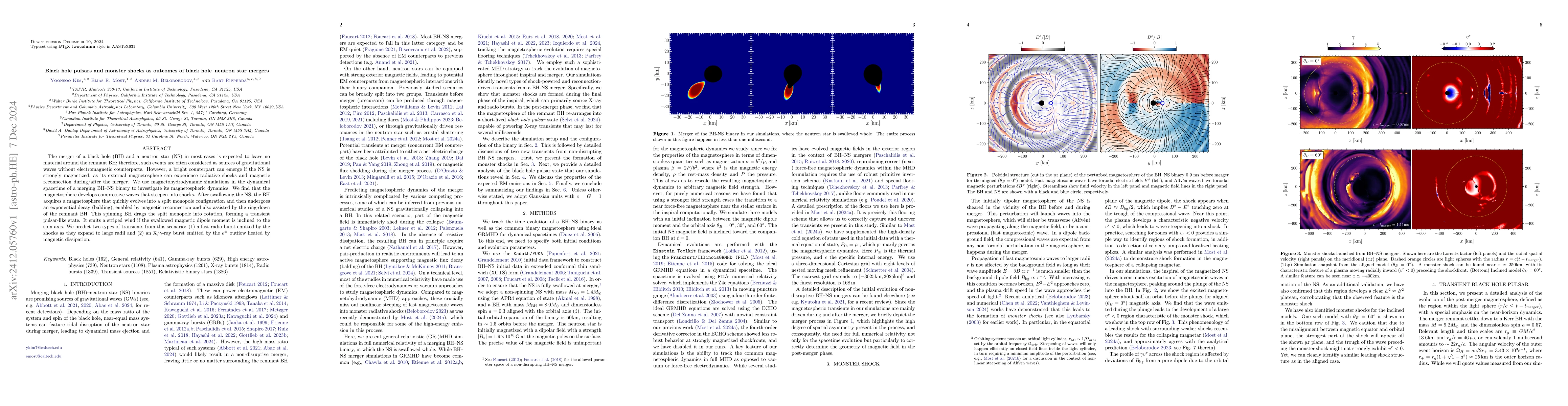 Thumbnail for Black hole pulsars and monster shocks as outcomes of black hole-neutron
  star mergers