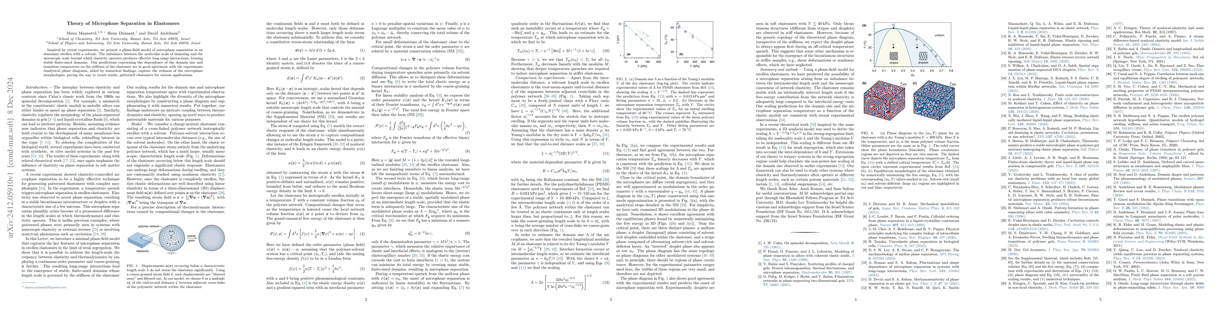 Thumbnail for Theory of Microphase Separation in Elastomers