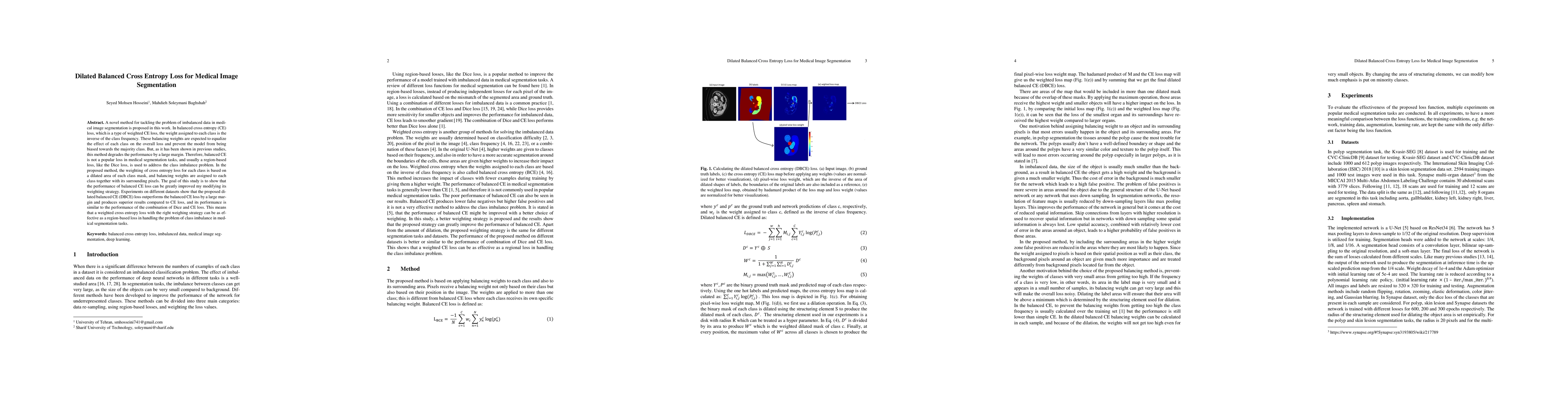 Thumbnail for Dilated Balanced Cross Entropy Loss for Medical Image Segmentation