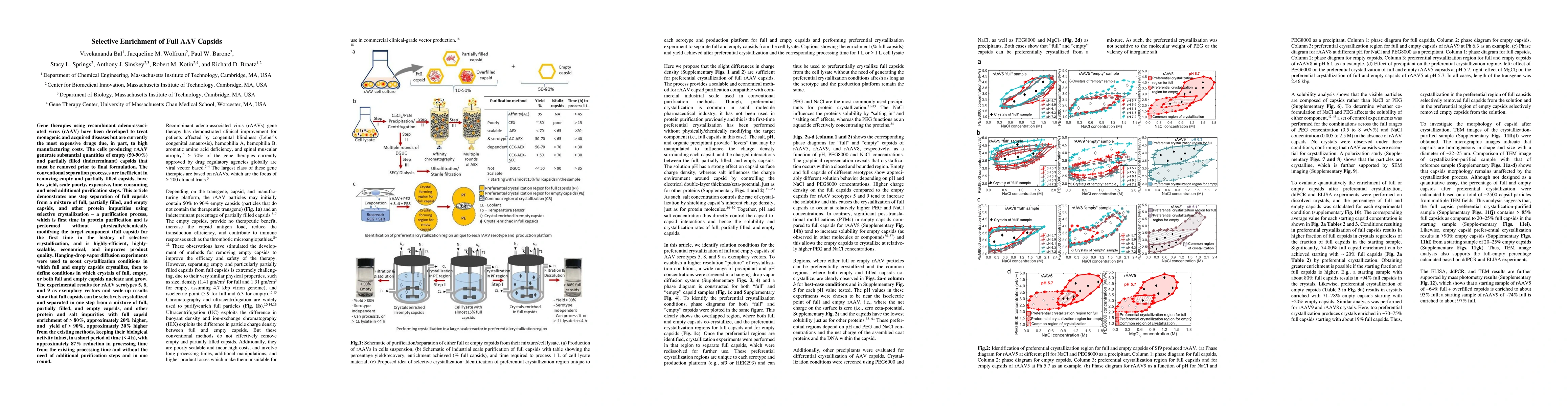 Thumbnail for Selective Enrichment of Full AAV Capsids