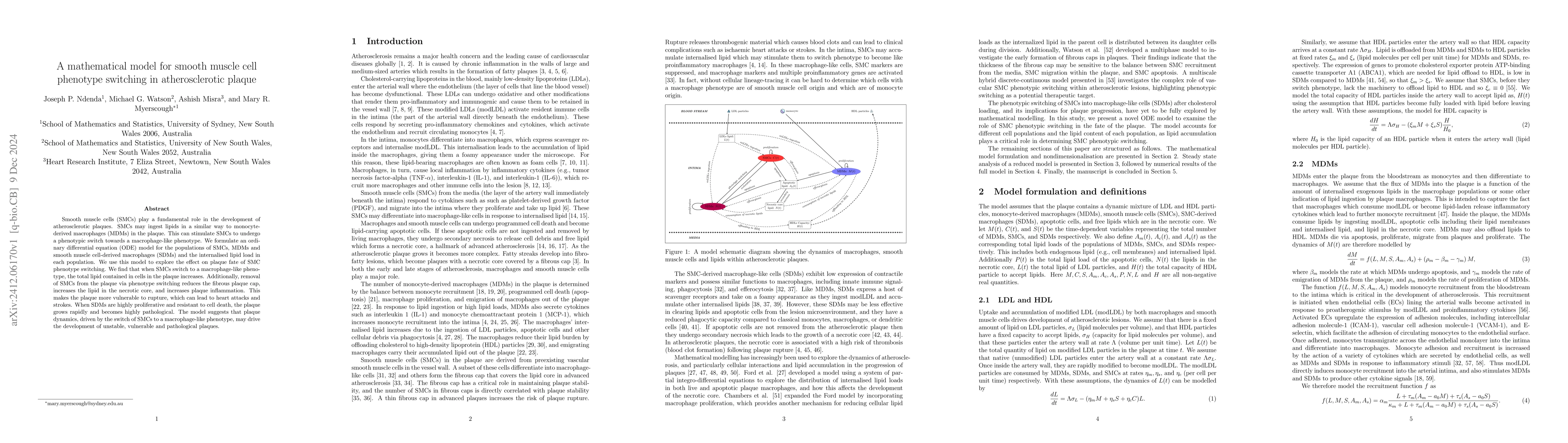 Thumbnail for A mathematical model for smooth muscle cell phenotype switching in
  atherosclerotic plaque