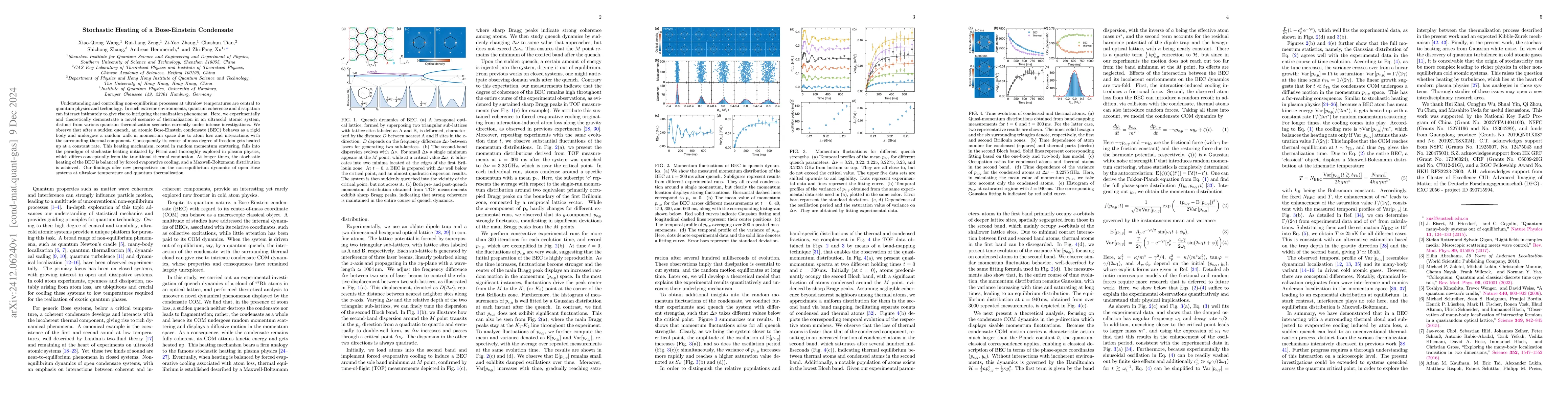 Thumbnail for Stochastic Heating of a Bose-Einstein Condensate