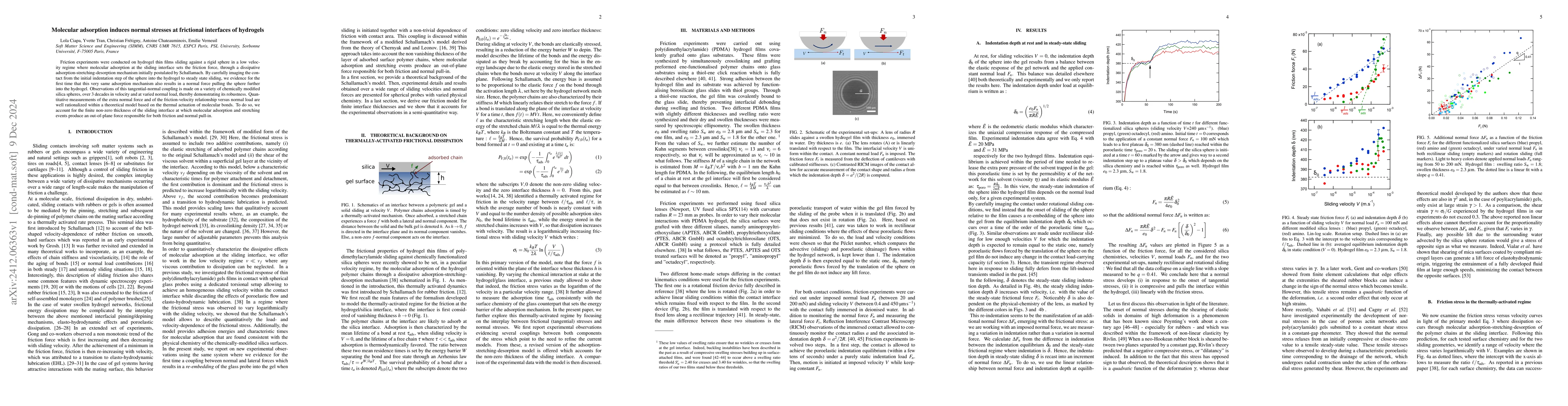 Thumbnail for Molecular adsorption induces normal stresses at frictional interfaces of
  hydrogels