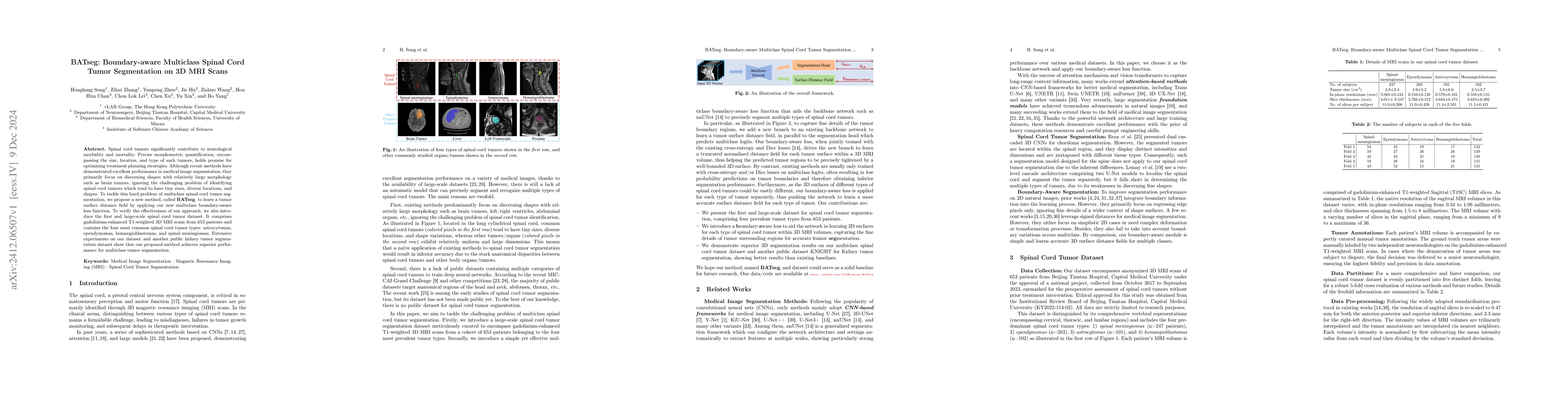 Thumbnail for BATseg: Boundary-aware Multiclass Spinal Cord Tumor Segmentation on 3D
  MRI Scans