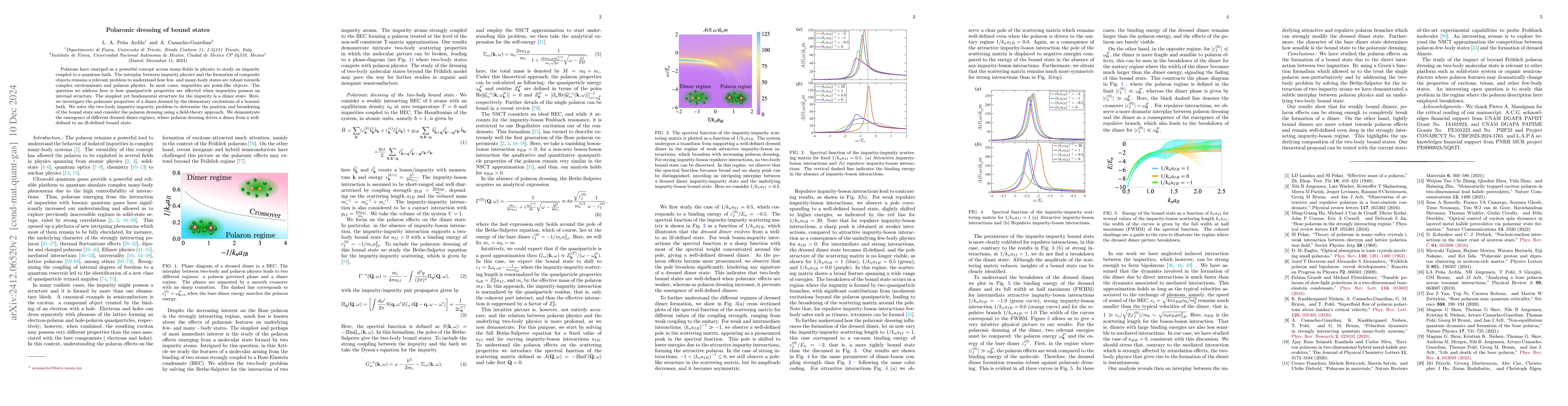 Thumbnail for Polaronic dressing of bound states