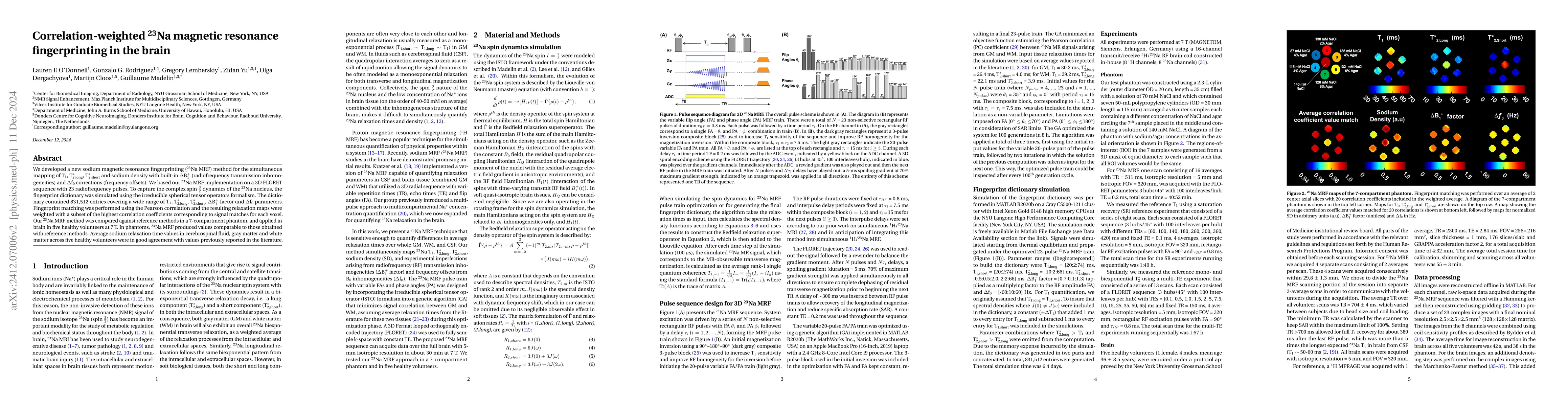 Thumbnail for Correlation-weighted 23Na magnetic resonance fingerprinting in the brain