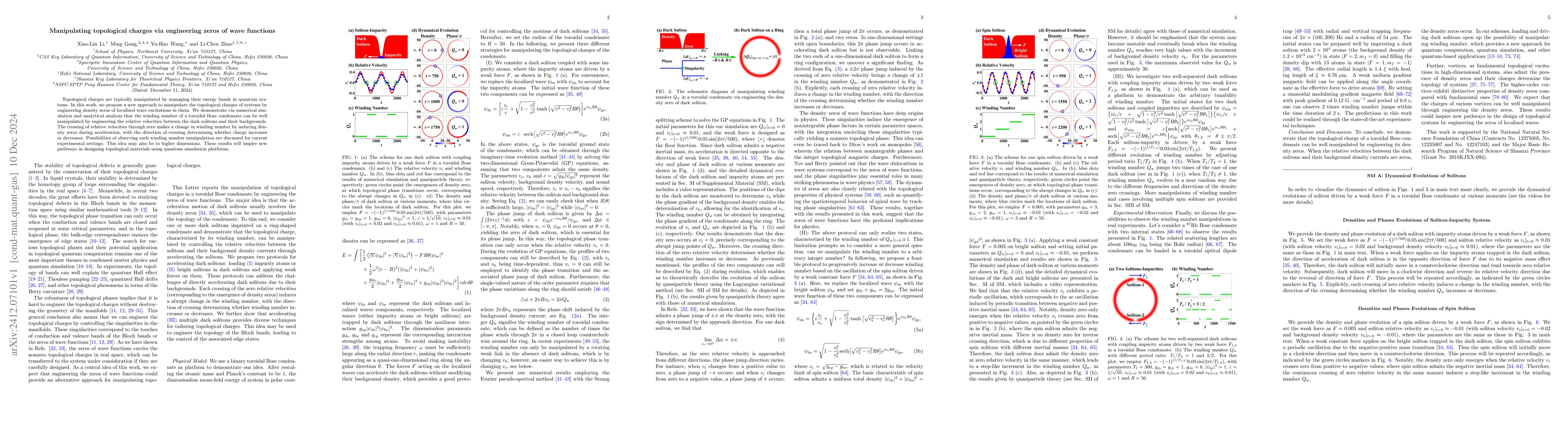 Thumbnail for Manipulating topological charges via engineering zeros of wave functions