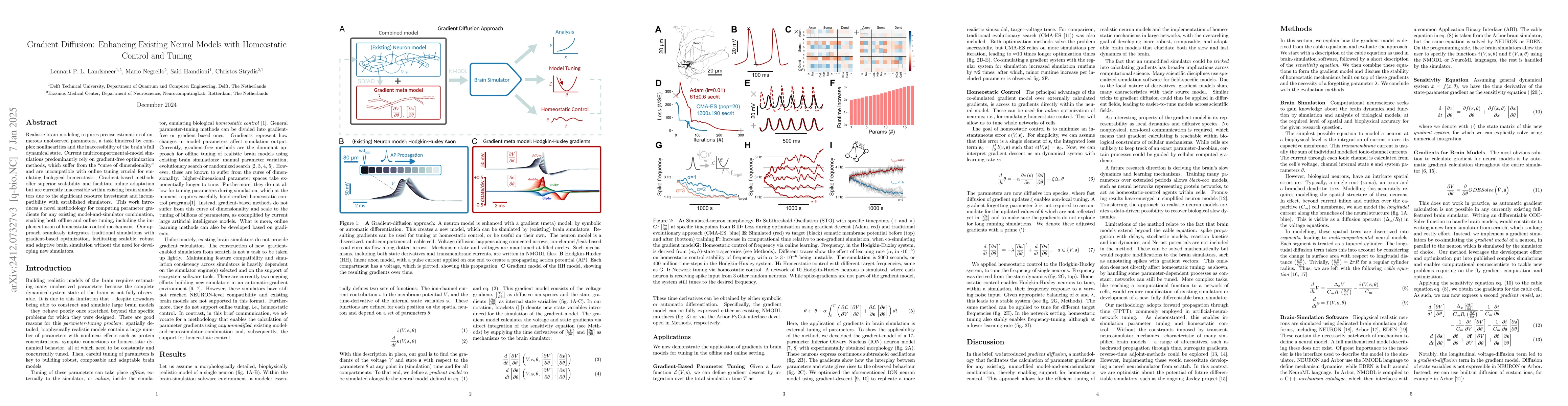 Thumbnail for Gradient Diffusion: Enhancing Multicompartmental Neuron Models for
  Gradient-Based Self-Tuning and Homeostatic Control